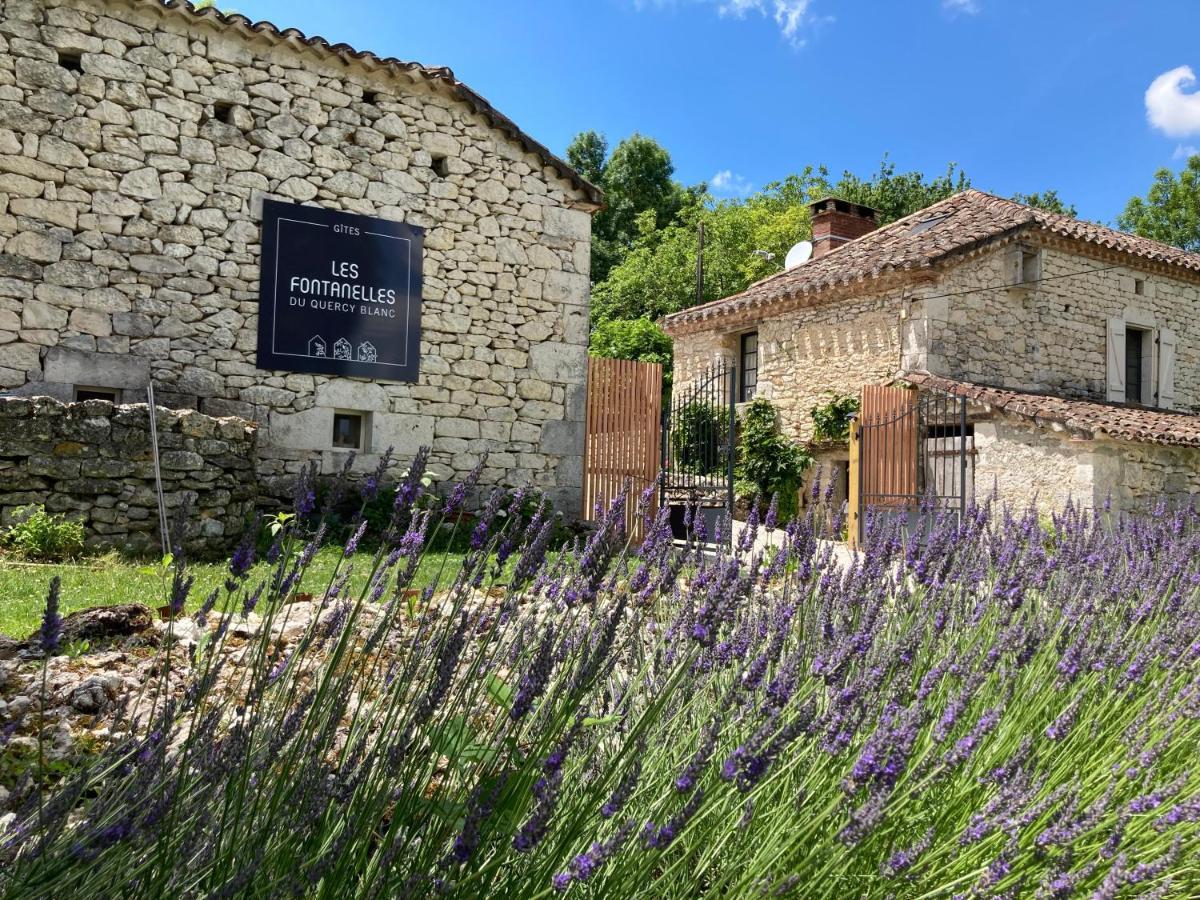 Montcuq Les Fontanelles Du Quercy Blanc 빌라 외부 사진